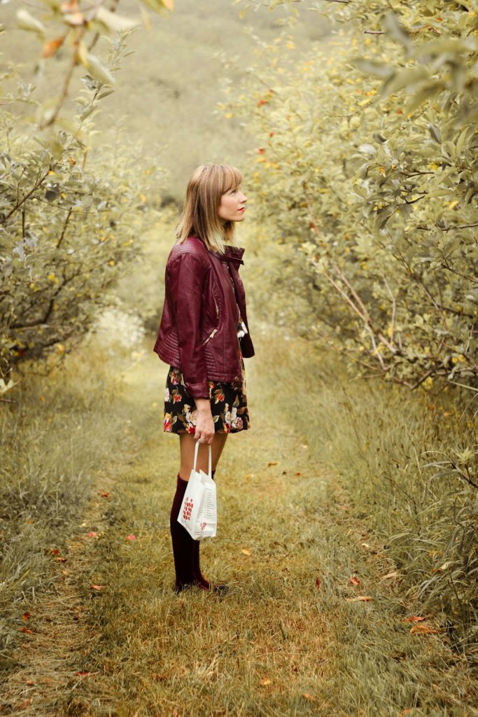 apple picking, stone ridge new york, nyc vintage fashion blog, knee high socks, vintage romper, forever 21 jacket