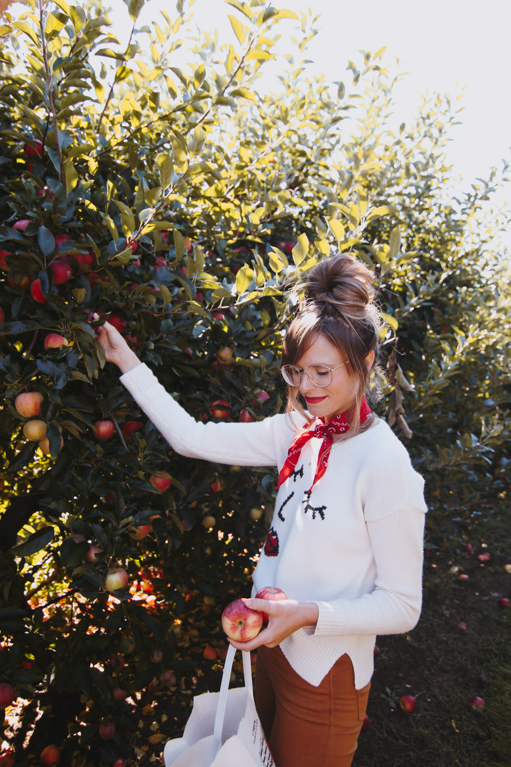 Seven Ponds Orchard, apple picking outfit