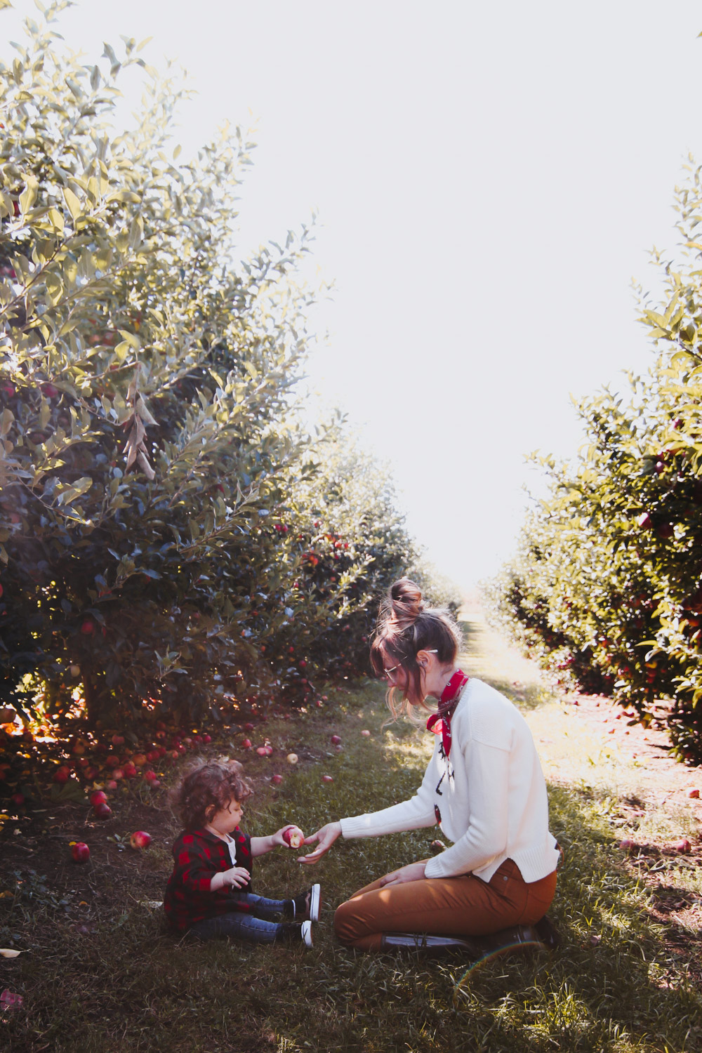 Seven Ponds Orchard, apple picking outfit